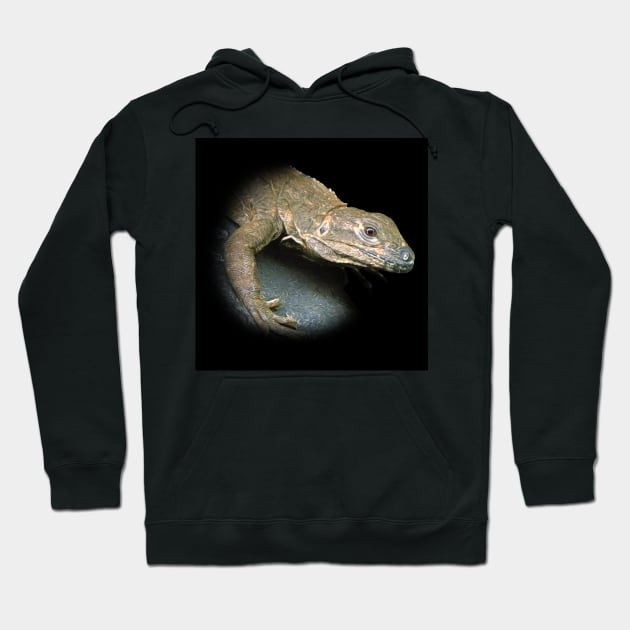 Iguana Hoodie by Guardi